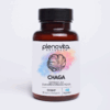 Chaga