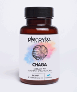 Chaga