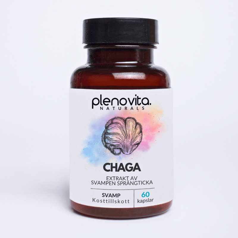 Chaga