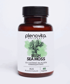 Irish Sea Moss