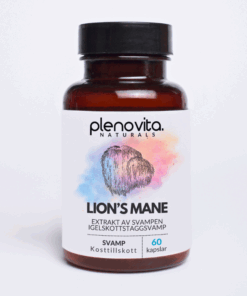 Lion's Mane kapslat - igelkottstaggsvamp som är ett naturligt kosttillskott.