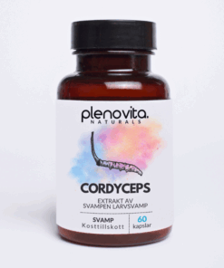 Cordyceps