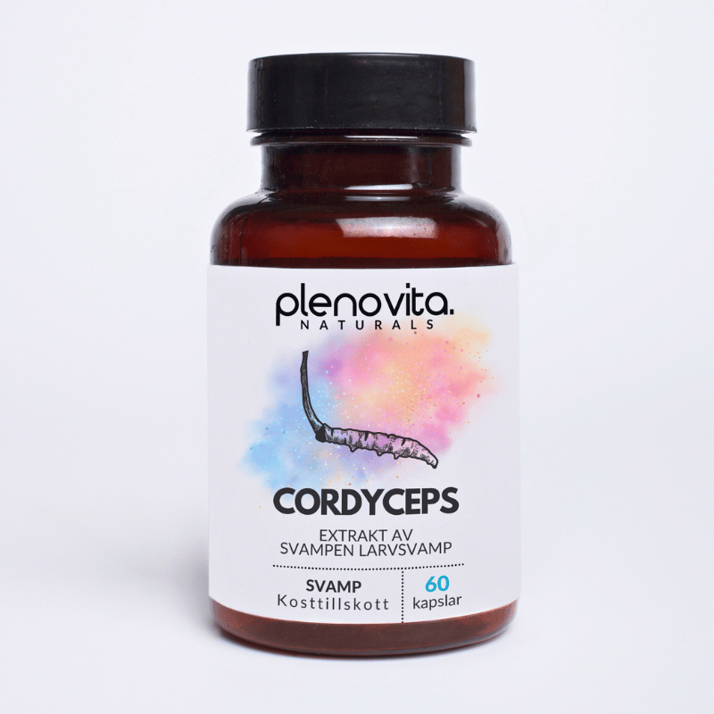 Cordyceps