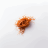 Färsk Cordyceps