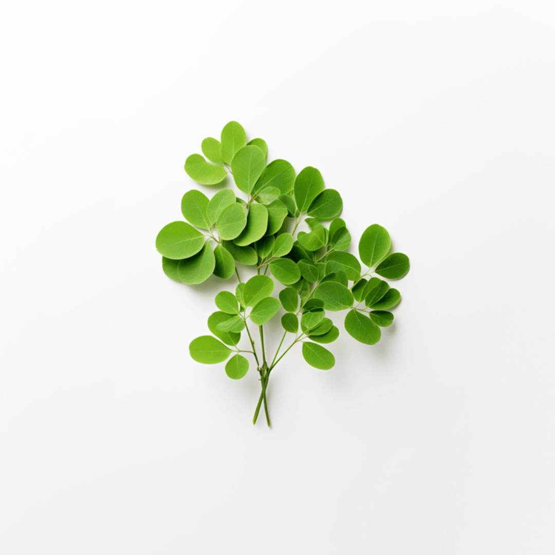 Moringa